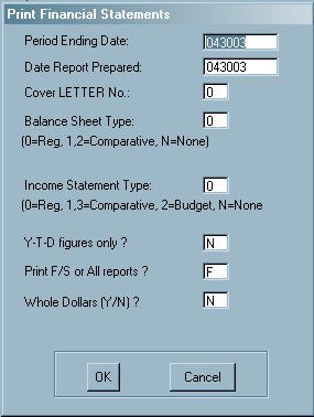 Financial Statement Print